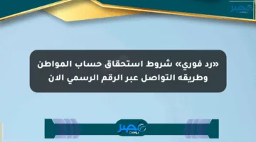 «رد فوري» شروط استحقاق حساب المواطن وطريقة التواصل عبر الرقم الرسمي الآن